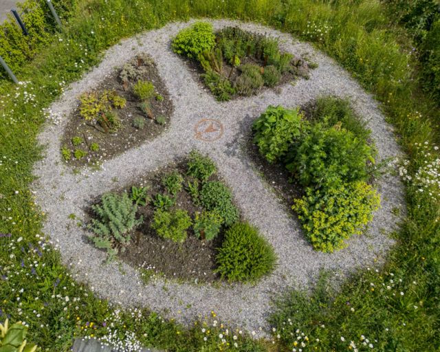 Kräuterspaziergang auf dem Kirchhügel in Bendern